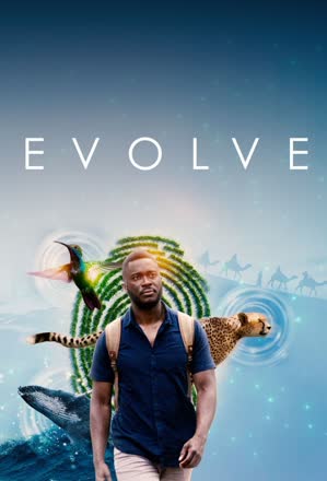 Evolve