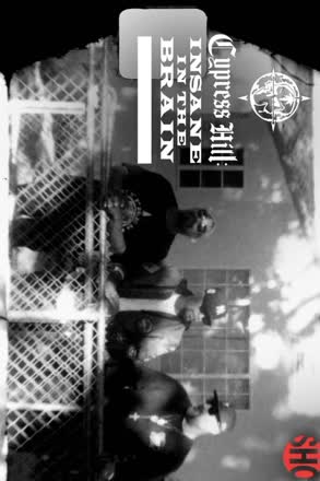 cypress hill insane in brain