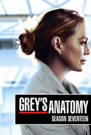 Grey's Anatomy_0017