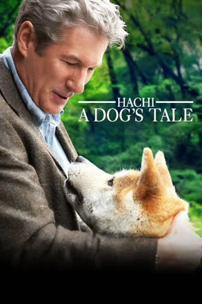 hachi dog s tale
