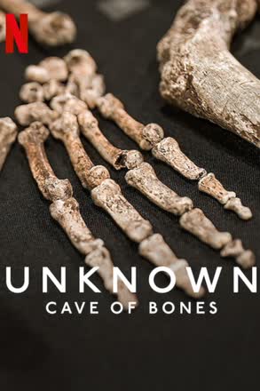 unknown cave bones