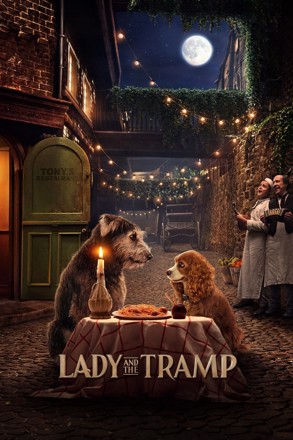 lady tramp