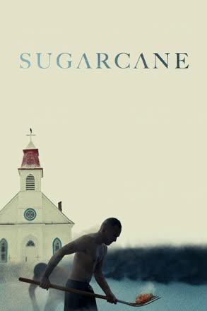 sugarcane