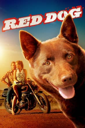 red dog