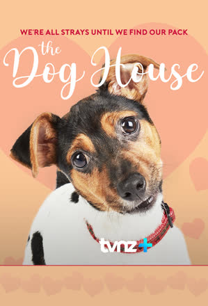 Dog House NZ
