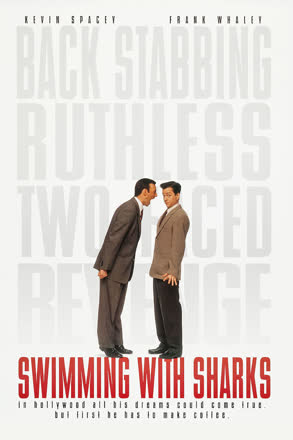 swimming with sharks