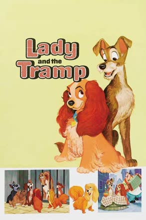 lady tramp