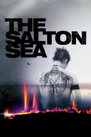 salton sea
