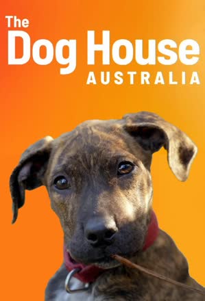 Dog House Australia